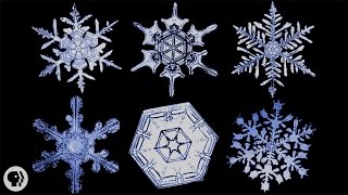 The Science of Snowflakes [upl. by Esaj]