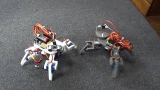 4legged walking robot [upl. by Esimehc]