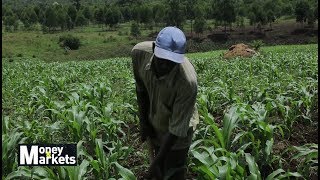 Role of Agriculture in Economic Development [upl. by Marylinda]