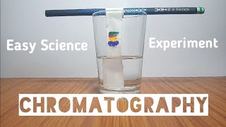 Chromatography  Easy Science Experiment to do at home [upl. by Lletnahs]