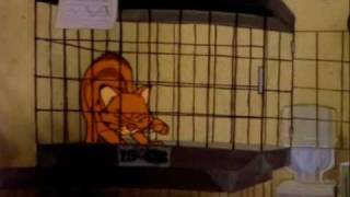 Garfield and His 9 Lives  Life No 7 [upl. by Ytirahc]