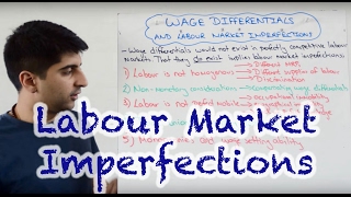 Wage Differentials and Labour Market Imperfections [upl. by Aubreir777]