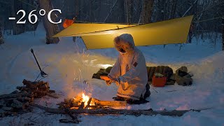 26°C Winter Tarp Camping  Algonquin Backcountry [upl. by Staffard]