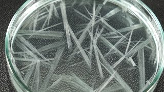 Fast Crystallization Experiment [upl. by Comyns]