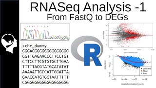 RNASeq Analysis  Differential Expressed Genes DEGs from FastQ [upl. by Ahcsap]