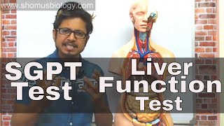 SGPT blood test in Hindi [upl. by Larual]