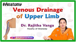 Venous Drainage of the Upper Limb [upl. by Idet]