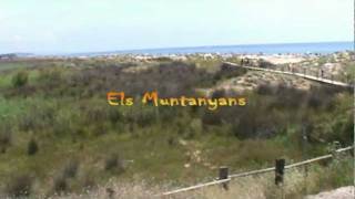 Els Muntanyans  Playa naturista Torredembarra [upl. by Ynatterb]