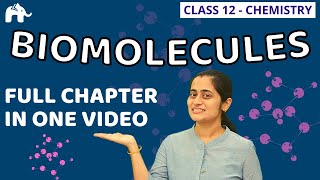 Biomolecules Class 12 Chemistry  NCERT Chapter 14  One Shot CBSE NEET JEE [upl. by Dominus]