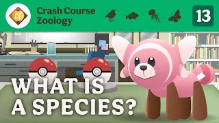 What is a Species Crash Course Zoology 13 [upl. by Clance]