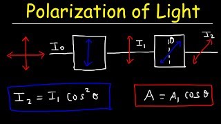 Polarization of light Problems Malus Law  Intensity amp Amplitude  Physics [upl. by Enehs567]