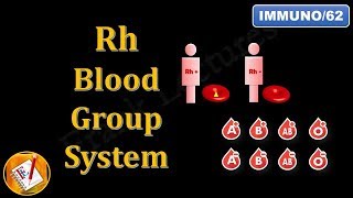 Rh Blood Group System FLImmuno62 [upl. by Ahsotan]