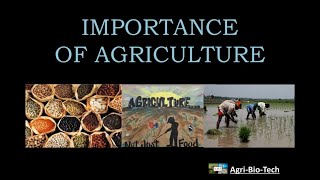 importance of agriculture  Agriculture in India  Advantages of agriculture [upl. by Kyre293]