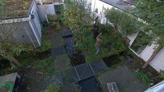 Scandinavische tuin  EIGEN HUIS amp TUIN [upl. by Willyt23]