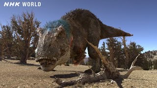 Tyrannosaurus The Feathered Tyrant  DINOSAURS [upl. by Cinimod]