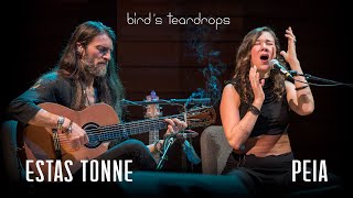 Birds Teardrops  Estas Tonne feat Peia  Ashland Oregon 2018 [upl. by Aicilegna46]