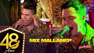 Mix Mallanep  Caribeños de Guadalupe quot48 Añosquot En Vivo [upl. by Aleik524]