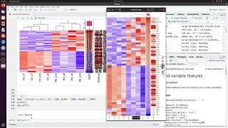 How to make a heatmap of differentially expressed genes in R complex version [upl. by Winzler719]