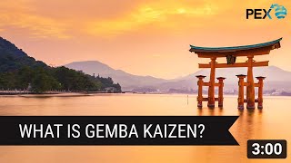 Introduction to the concept of Gemba Kaizen [upl. by Brebner874]