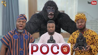 AFRICAN HOME POCO THE GORILLA PART 2 [upl. by Atinyl]