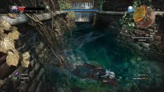 Witcher 3 Find the Gate Key in Herbarium Underwater Cave [upl. by Leumek]