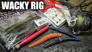 Wacky Rig Guide for Bass Fishing Beginner Fishing Tips [upl. by Attikin485]