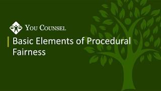 Basic Elements of Procedural Fairness [upl. by Darrill]