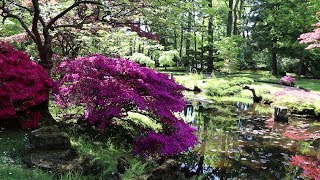 Japanese garden in Clingendael park The Hague Den Haag Netherlands [upl. by Neala]