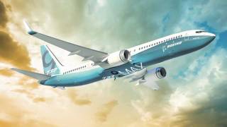 New Boeing 737 MAX [upl. by Ayenet]