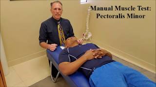 Manual Muscle Testing MMT Pectoralis Minor Pec Minor [upl. by Kinnon994]