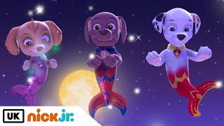 Paw Patrol  Pups Save Puplantis Part 1  Nick Jr UK [upl. by Cassilda]