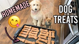 TWO HOMEMADE DOG TREAT RECIPES  COOKING FOR YOUR DOG [upl. by Nileak]