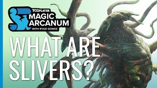 What are Slivers  Magic Arcanum [upl. by Aicirtal]