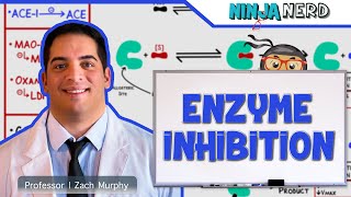 Biochemistry  Enzyme Inhibition [upl. by Leary]