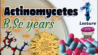 Actinomycetes  Characteristics  Importances  Identification BSc 3st year 🧫💊🔬 [upl. by Ylrac36]