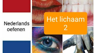 Het lichaam 2  body parts 2  Nederlands leren  NT2  woordenschat  learn Dutch [upl. by Sudbury]