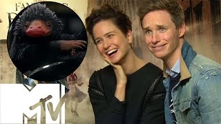 Fantastic Beasts And Where To Find Them BehindTheScenes  Fave Creatures  MTV Movies [upl. by Eenwahs]