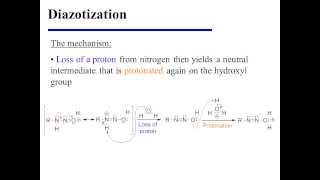 Diazotization [upl. by Sievert604]