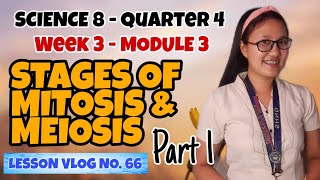 Stages of Mitosis and Meiosis Module 3 Part 1  SCIENCE 8 [upl. by Nannaihr]