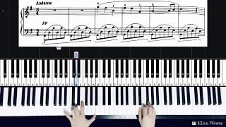 The Swan  Camille  Saint  Saens  from the Piano Pieces for Children [upl. by Yro]