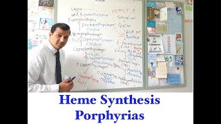 Heme synthesis and Porphyria [upl. by Asir]