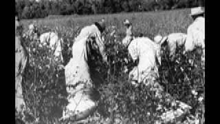 Sharecropping in the Mississippi Delta Podcast [upl. by Compton]