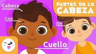 Las partes del cuerpo  La cabeza  Vocabulario para niños [upl. by Sima]