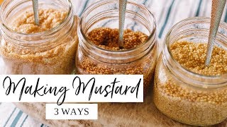 🌭 How to Make Homemade Mustard 🌭  EASY With Three Different Recipes [upl. by Okechuku472]