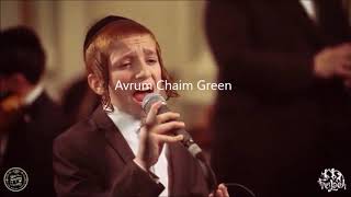 Ari Reich y Avrum Chaim Green [upl. by Helfant]