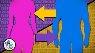 Hormones and Gender Transition [upl. by Giah]