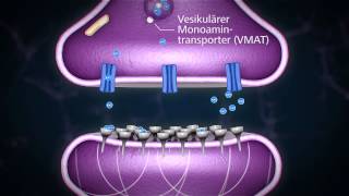 Methylphenidat  so funktioniert es [upl. by Rivalee872]