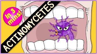 Actinomycetes Microbiology Morphology pathophysiology symptoms diagnosis treatment [upl. by Aubreir595]