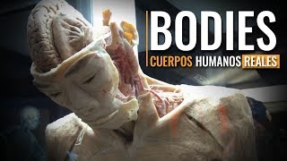 Bodies un recorrido por el cuerpo humano [upl. by Nissie]