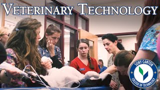 Veterinary Technology Programs at SUNY Canton [upl. by Nalra907]